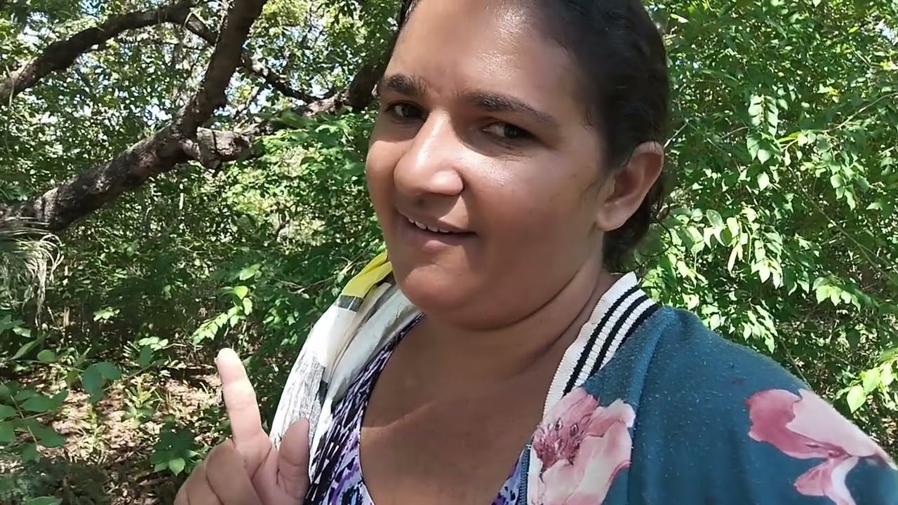 Uma aventura pra juntar pequi em outra cidade 