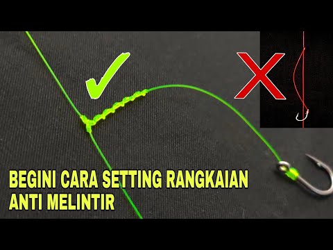 Video: Menggalakkan Penyuntingan RNA Dengan Tarikan ADAR