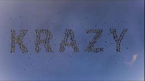 KRAZY Sky Dive Formation