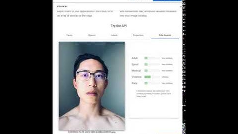 Google Cloud Vision AI Analysis of Photographs and Images (Brave New World of Photography)
