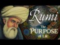 Rumi quotes about why evil pain life and death exist  sufi sayings about the purpose of it all