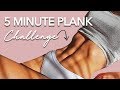 5 Minute Plank Challenge (ITS TOUGH!)