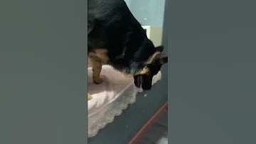 I like this alternative method of turning off the light  #challenge #shorts