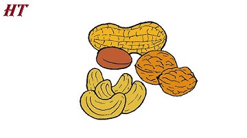 How to draw a Nuts Easy Step by Step