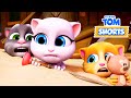 Talking Tom - Don’t Step in the Sand 🏖 😧 Cartoon for kids Kedoo Toons TV
