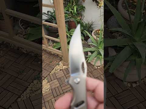 Kizer Assassin ...