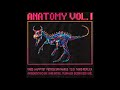 VARIOUS ARTISTS - ANATOMY VOL. I