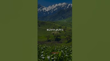 وما الله بغافل عما تعملون❤️ #سورة_البقرة #قرآن #قران_كريم #صوت_جميل #تلاوة_خاشعة #راحة_نفسية #دعم