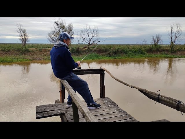 Anzuelos Colmic TR99 pesca de truchas en rios o corrientes - Pescamania