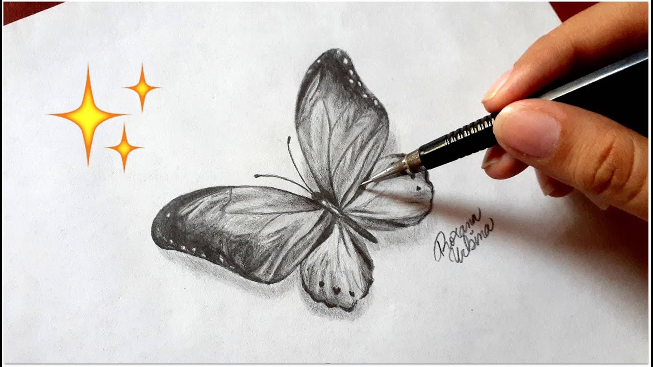 Cómo dibujar una mariposa con lápiz de grafito - Dibujos de mariposas | How  To Draw a Butterfly - thptnganamst.edu.vn