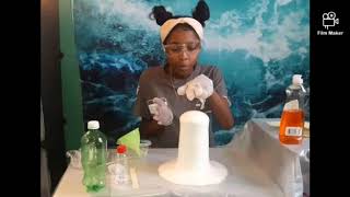 Ms  Angel's STEM Lab  Making Elephant's Toothpaste