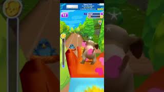 Pet Run - Puppy Dog Game || Pet Run Game | Pet Run Puppy Dog Game | Dog Run Game| #petrun#gameplay screenshot 3