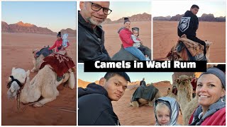 Camels, a Geo Dome, and Hiking in Wadi Rum