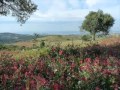 Jijel The Paradise Of Lesser Kabylia Jijel The Paradise Of Lesser Kabylia