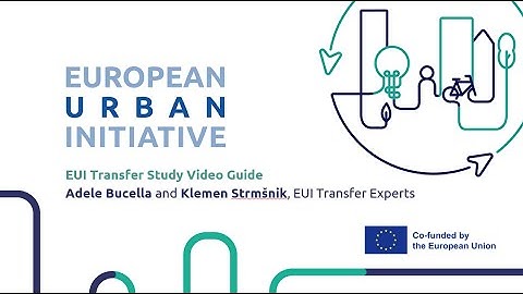 EUI Innovative Actions webinar on the Transfer Study