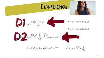 Black & Scholes formula (Excel spreadsheet and VBA code)