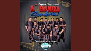 Video thumbnail of "Abanda Sombra - Quieres ser mi amante"