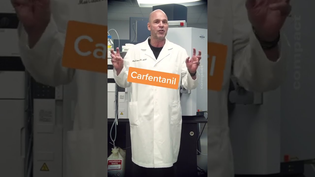 What Is The Most Dangerous Opiate 