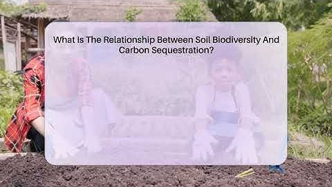 What Is The Relationship Between Soil Biodiversity And Carbon Sequestration? - Ecosystem Essentials
