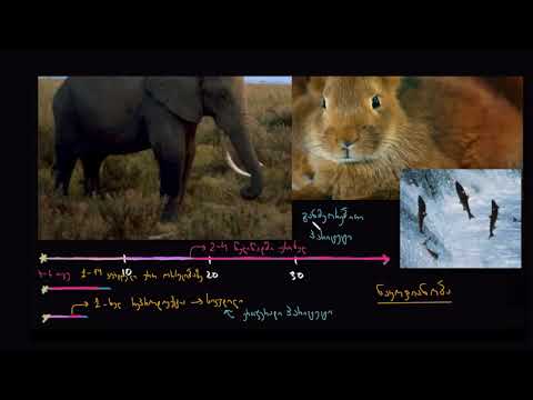 სიცოცხლის ისტორიის სტრატეგიები და ნაყოფიერება