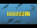 Gizmo Varillas - A La Vida (Single Version) [Official Lyric Video]