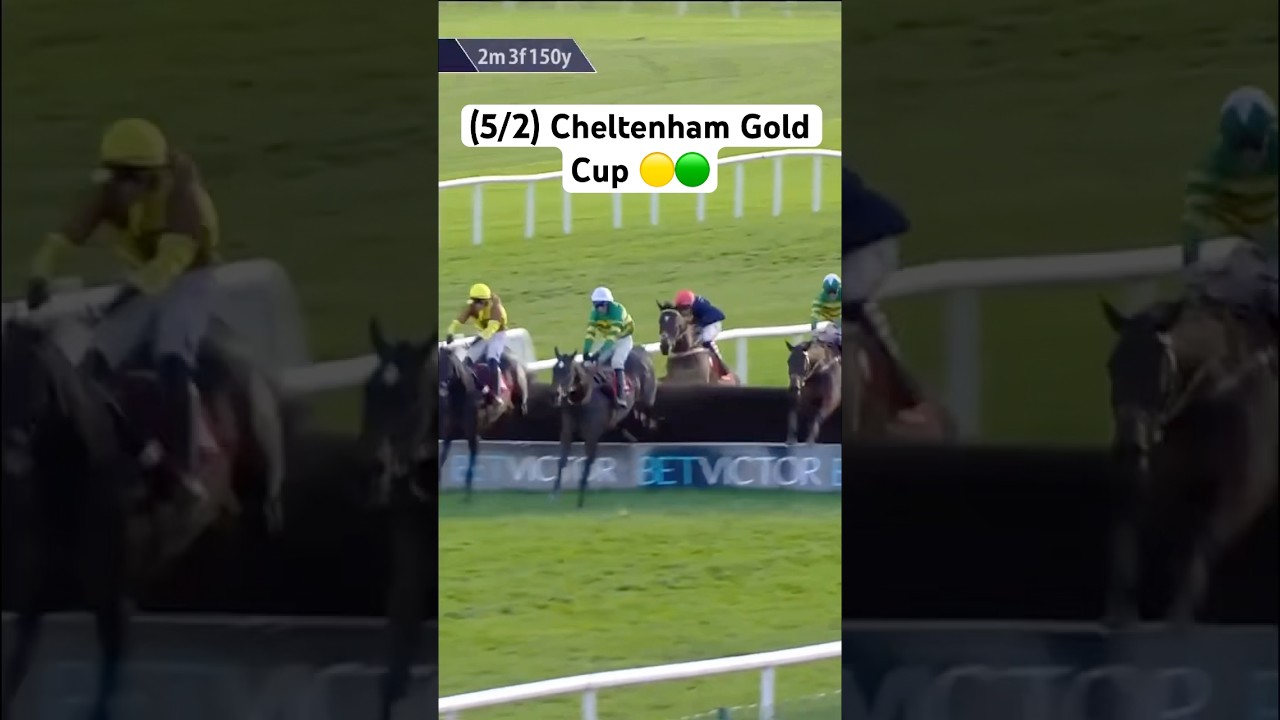 Fact To File Triumphs in John Durkan Chase and Takes Cheltenham Gold Cup Favouritism