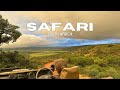 South africa safari travel vlog 2024  amakhala game reserve  hillsnek review