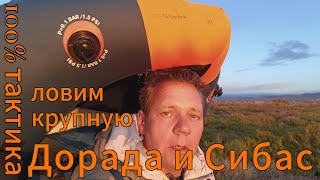 видео: Тактика и приманки для ловли Дорада и Сибас. Рыбалка на Эбро картинка: Тактика и приманки для ловли Дорада и Сибас. Рыбалка на Эбро