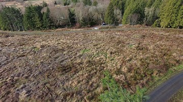 Skydio 2 first crash