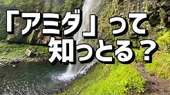 ブルーチップ チャンネル Youtube ブルーチップ チャンネル Youtube