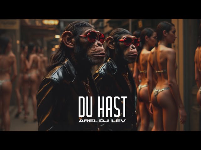 Arei/Dj Lev - Du Hast