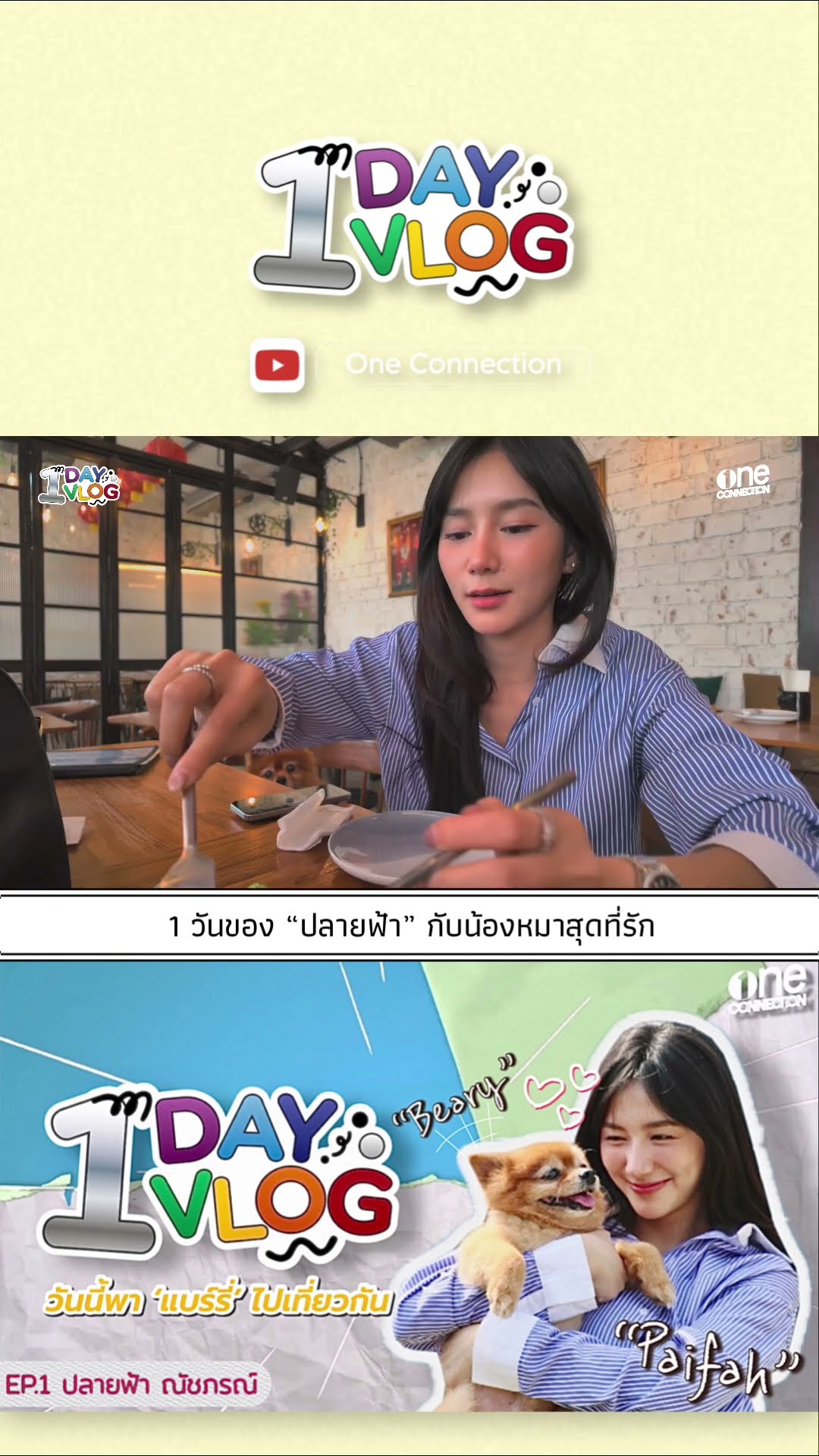 1 DAY 1 VLOG ของ #ปลายฟ้าณัชภรณ์ กับน้องหมาสุดที่รัก | #shorts  | one31
