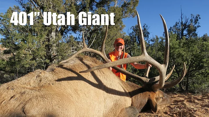 401" GIANT UTAH TYPICAL Bull Elk harvest by Connor...