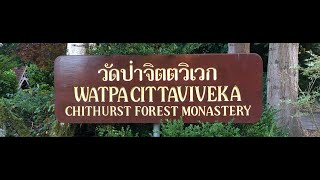 Ajahn Sucitto – Winter Retreat Dhamma Reflection (Day 14) – 08:30am 27 March 2021