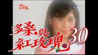 『多桑與紅玫瑰』第30集（劉嘉玲王識賢藍正龍陳冠霖黃仲崑 ... 