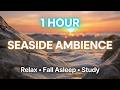 1 Hour Seaside Ambience 🌊 Ocean Waves on Rocks for Sleep & Relaxation