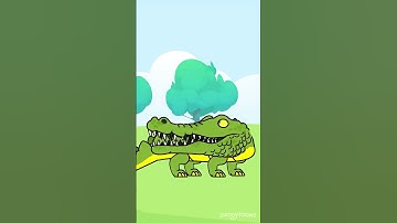 BOMBARDINO CROCODILO Original Story | Italian Brainrot meme | Funny Meme #shorts #fyp #sprunki