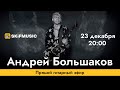 Андрей Большаков | Прямой гитарный эфир | Сергей Тынку | SKIFMUSIC.RU