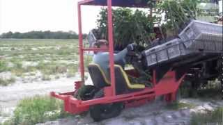 Using Trimble GPS Technology for Citrus Tree Planting