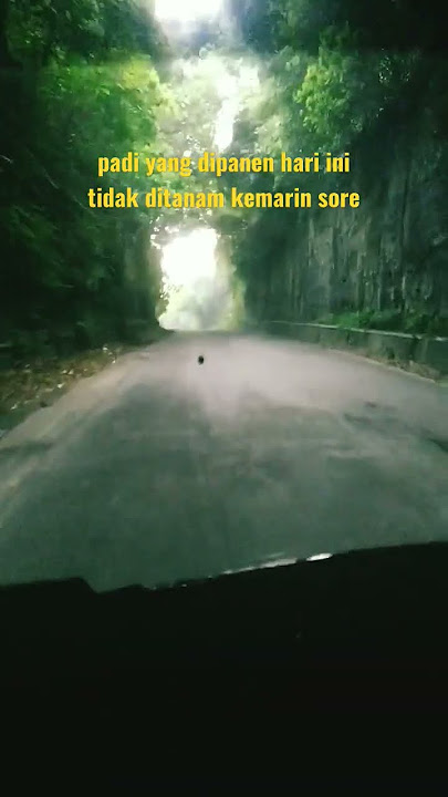 story wa infone mase (ninu ninu )