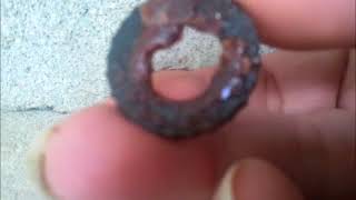 North Queensland Native Stingless Bees - Induction/Eduction/Budding Without Damaging Your Hive