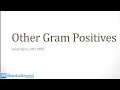 Infectious Diseases 2 Bacteria 3 Other Gram Positives