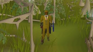 How to re-obtain Mourners outfit and clean/fix (Song of Elves)