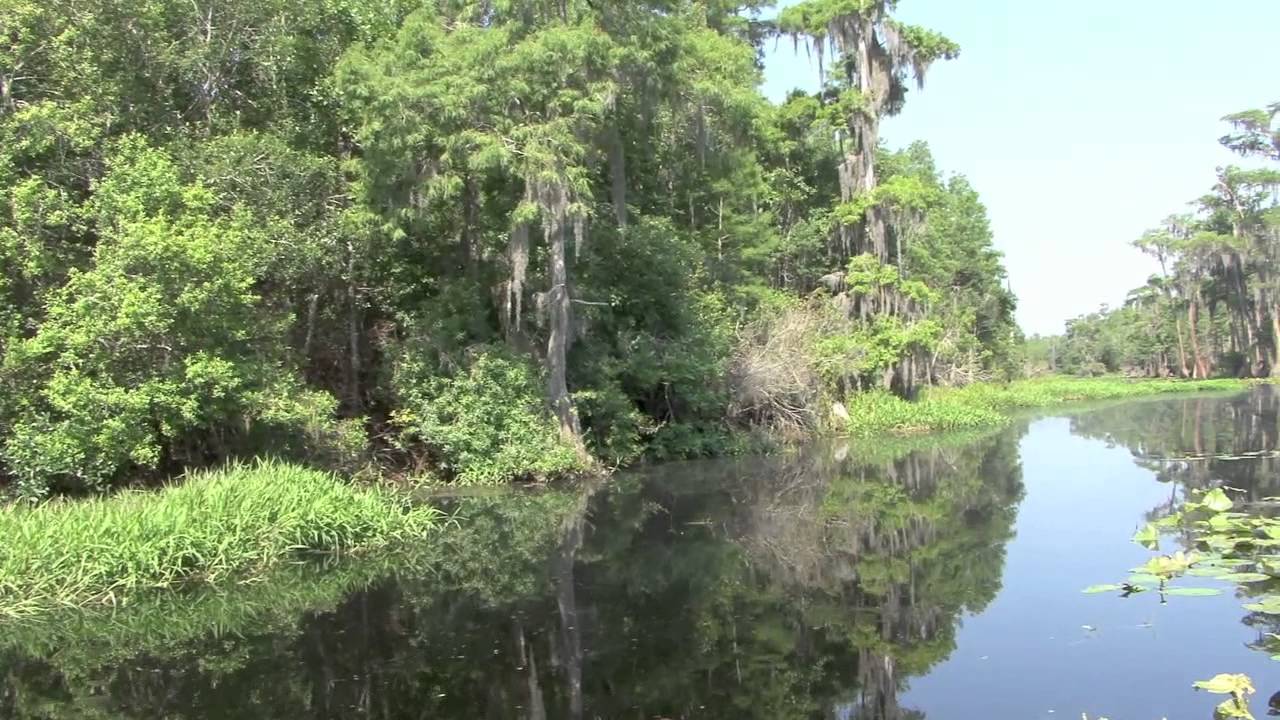 The Okefenokee Swamp 2012 (Backroad Treasures) - YouTube