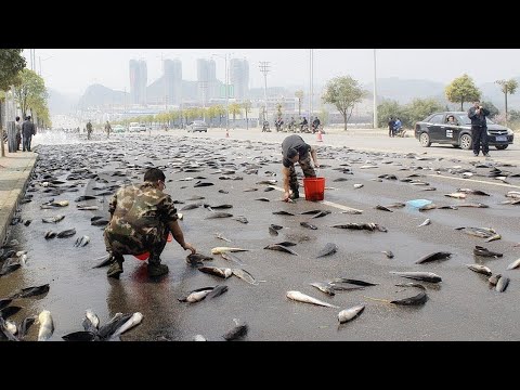 Video: Paano Tumakbo Sa Ulan