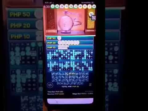 Experience Pinco Mobile Bingo: Play Casino Games Online in English, Canada