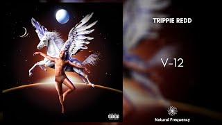 Trippie Redd - V-12 (432Hz)