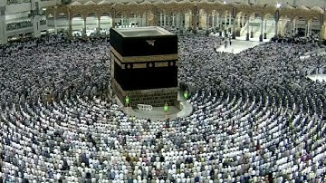 من صلاة الفجر _ ابداع لاينتهى لفضيلة الشيخ د. ماهرالمعيقلي _ تلاوه رائعه لسورة محمد 🌺