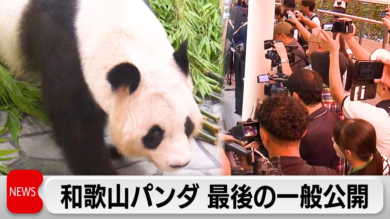 パンダ4頭の新たな門出を見送るセレモニー 赤ちゃんパンダの映像も