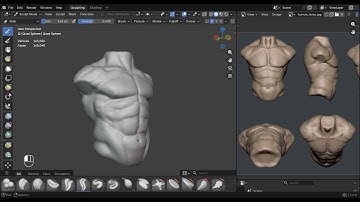 Day 3 -Learning 3D Sculpting The HUMAN TORSO